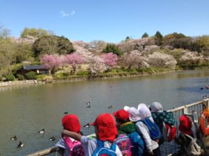 春の遠足（県立三ツ池公園）